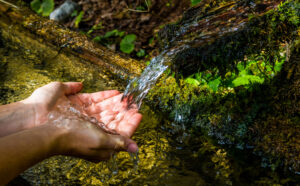 Washing Hands And Drink